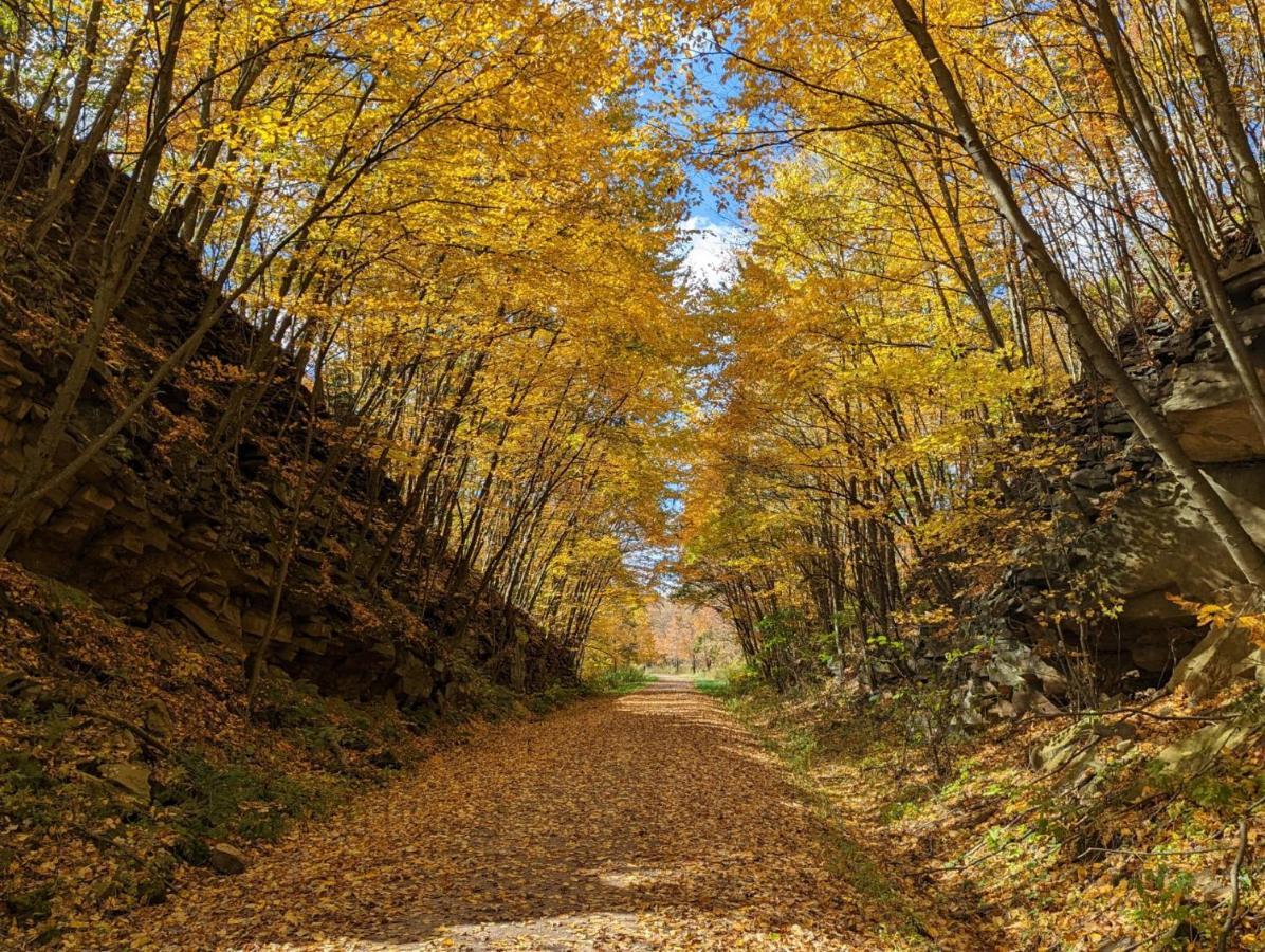 Stay In Ohiopyle In The Middle Of Town By The Gap Trail Εξωτερικό φωτογραφία